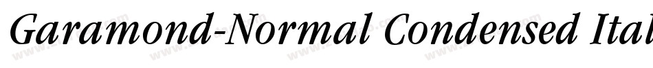 Garamond-Normal Condensed Italic字体转换